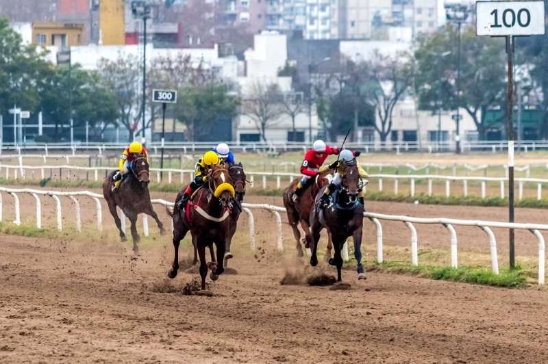 “Talentoso Doctor” fue el gran ganador en otra emocionante jornada de carreras